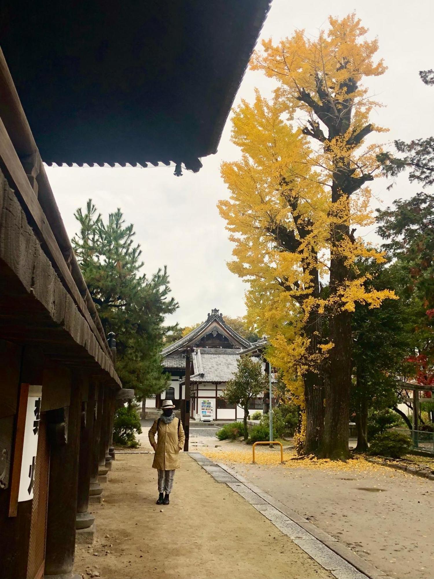 Inari-Home Kyoto Exterior photo