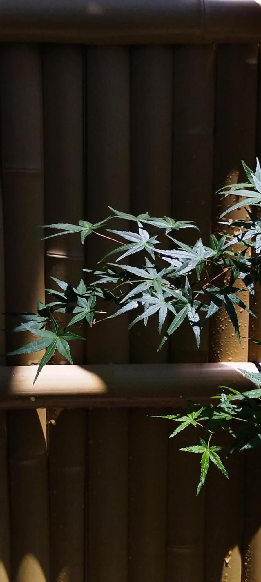 Inari-Home Kyoto Exterior photo